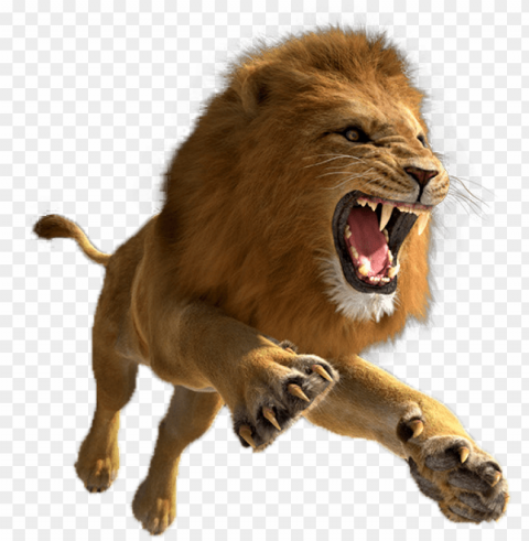 lion pic - lion Clear Background PNG Isolated Graphic