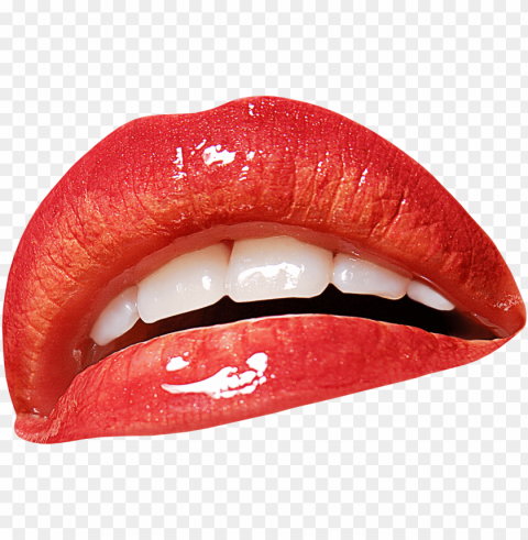 lips PNG with no background diverse variety PNG transparent with Clear Background ID 953d27bf