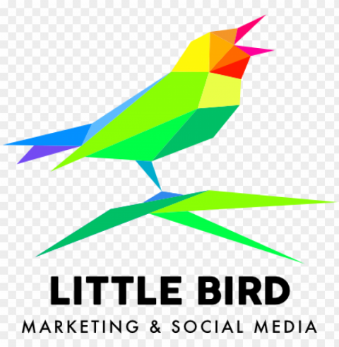 little bird affordable websites for small businesses - dolori del giovane walter Isolated Item with Transparent PNG Background