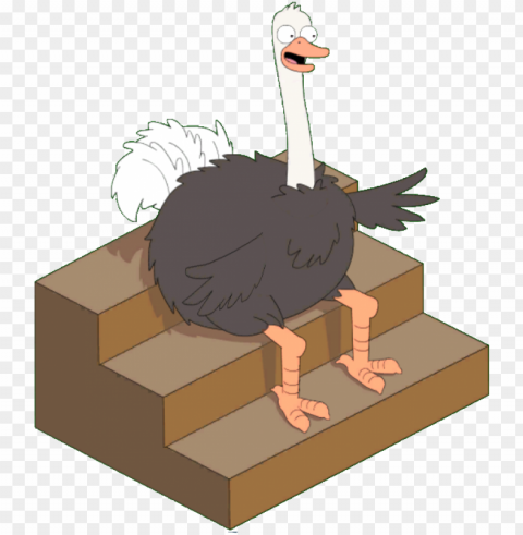 live studio ostrich - turkey Transparent pics PNG transparent with Clear Background ID 7a802fb7