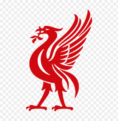 liverbird vector logo PNG for Photoshop