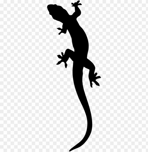 lizard - gecko clipart HighQuality Transparent PNG Isolated Artwork