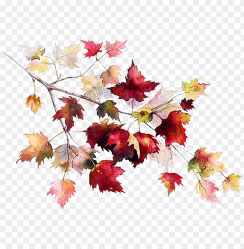 load 10 more imagesgrid view - autum Isolated Graphic on HighResolution Transparent PNG PNG transparent with Clear Background ID 8931c8c6