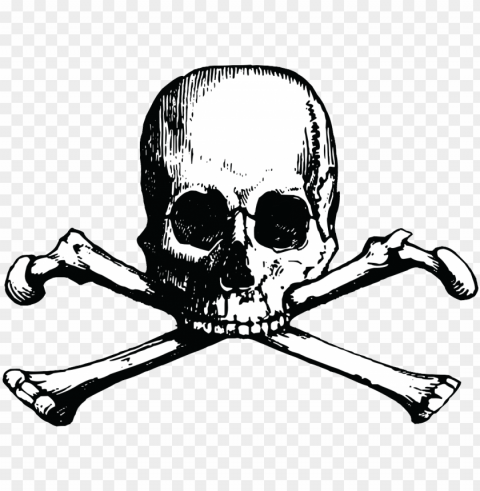 logo logo - skull and bones Isolated Subject with Clear PNG Background