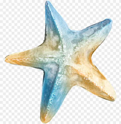 logo ta clip art - transparent background sea star PNG Image Isolated with HighQuality Clarity