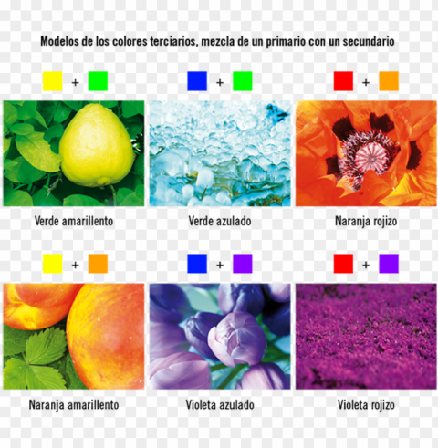 los colores terciarios - objetos de colores secundarios HighResolution PNG Isolated Illustration