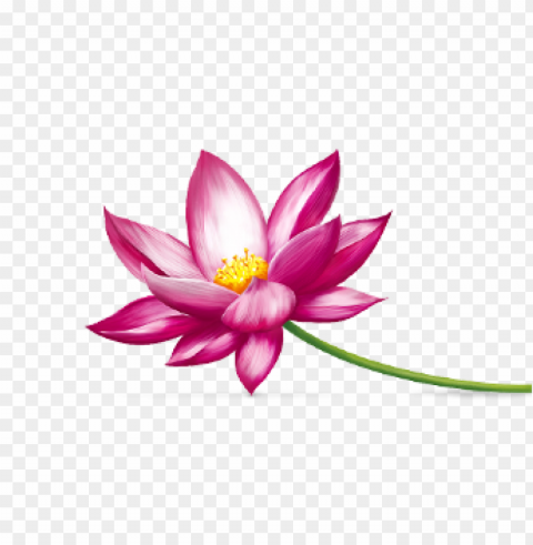 lotus cars download HighQuality Transparent PNG Object Isolation - Image ID ff68cfd4