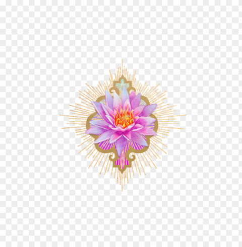 lotus divider - passion flower Isolated Subject in Transparent PNG