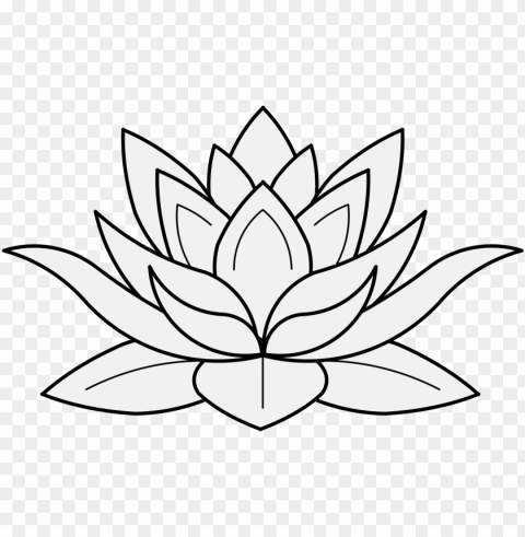 lotus flower in profile - lotus flower black and white PNG images with cutout