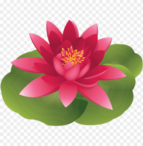 lotus water lily flower clipart - clip art water lily PNG files with transparent backdrop