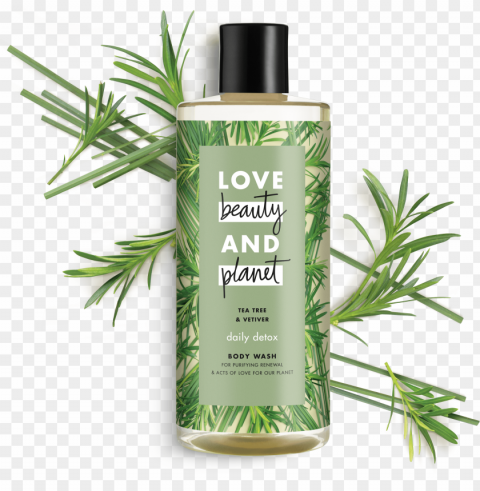 love beauty and planet rosemary & vetiver shower gel - love beauty and planet shampoo review Transparent PNG Isolated Object