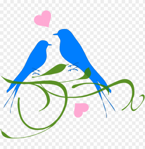 love birds Isolated Subject in HighResolution PNG