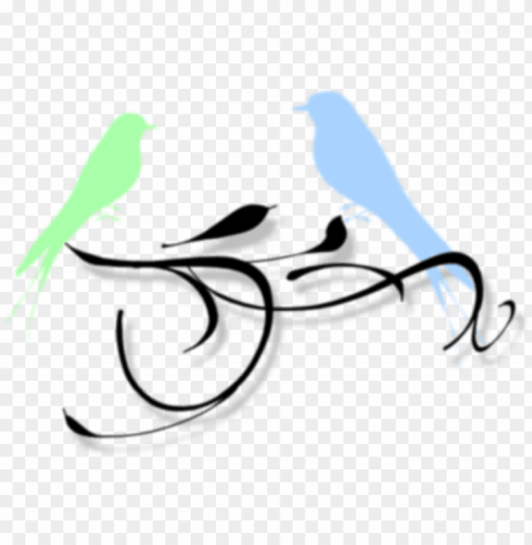 love birds Isolated Subject with Transparent PNG