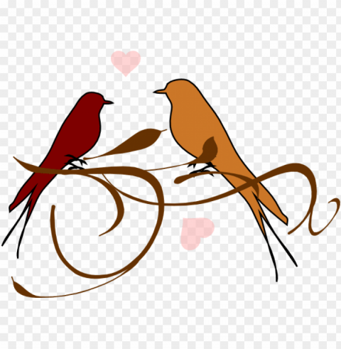 love birds Transparent Background PNG Isolated Element