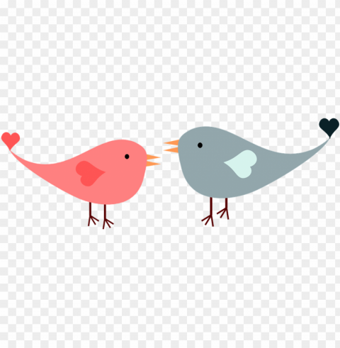 love birds Isolated Design on Clear Transparent PNG