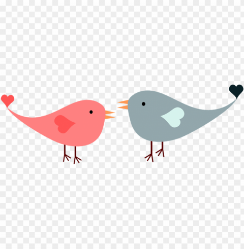 love birds Isolated Design on Clear Transparent PNG PNG transparent with Clear Background ID 0f45836c