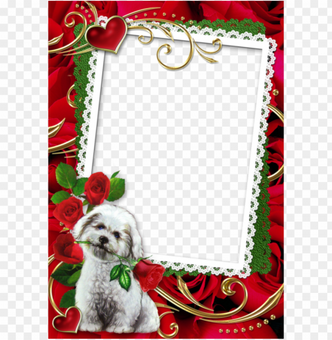 love photo frame clipart picture frames - love frame Transparent Background PNG Isolated Element PNG transparent with Clear Background ID c379f358