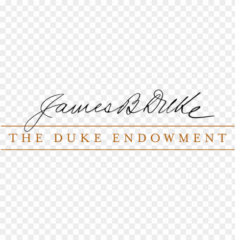 low-resolution for web usage - duke endowment logo Isolated Element in Clear Transparent PNG