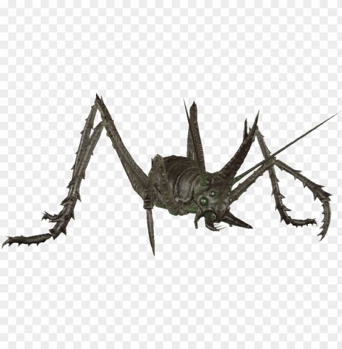 lowing cave cricket - fallout 4 cave cricket HighResolution Transparent PNG Isolated Item
