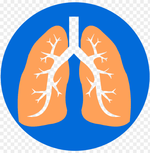 lungs - lu PNG files with no royalties
