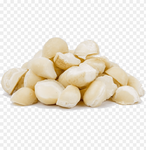 macadamia nuts png download image - macadamia nuts No-background PNGs