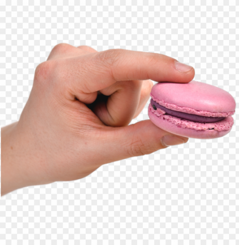 macaron food photo PNG transparent backgrounds - Image ID 29176f44