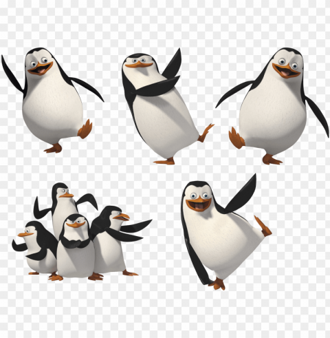 madagascar penguins image - penguin of madagascar Isolated Design Element in Clear Transparent PNG