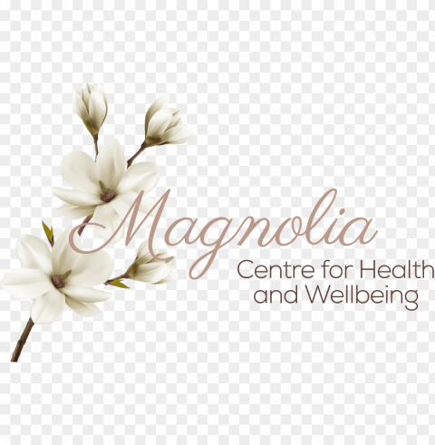 magnolia Transparent PNG images for digital art