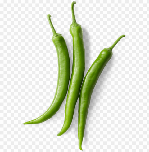 mama's memorable cooking did more than just bring her - chili pepper PNG for personal use