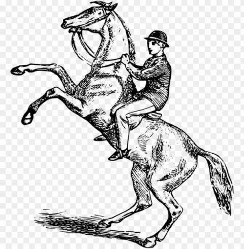 man riding a rearing horse vector image public domain - horse riding clip art PNG for mobile apps