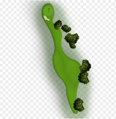 map-10 - moss PNG transparent photos extensive collection