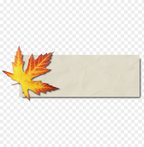 maple leaf banner PNG files with transparency