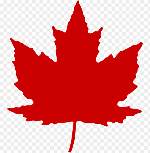 maple leaf - canadian maple leaf Free PNG download
