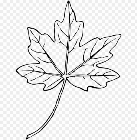 maple leaf clip art at clker - white maple leaf clipart ClearCut Background PNG Isolation