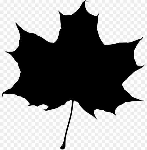 Maple Leaf Silhouette PNG Isolated