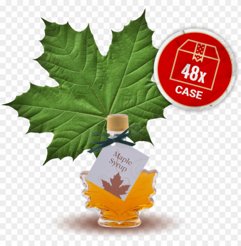 maple syrup small maple leaf bottle 48 x bottles - green maple leaf Isolated Graphic on Transparent PNG