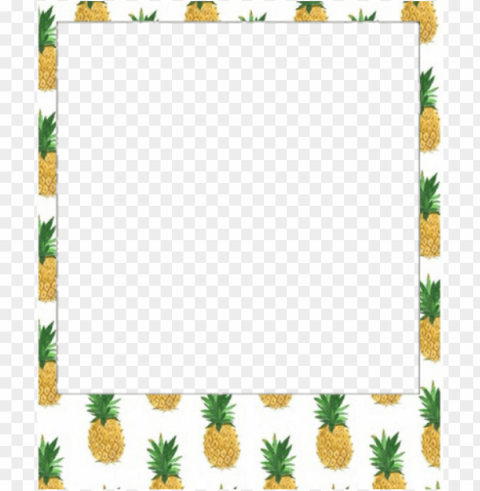 marco polaroid Isolated Artwork on Clear Transparent PNG