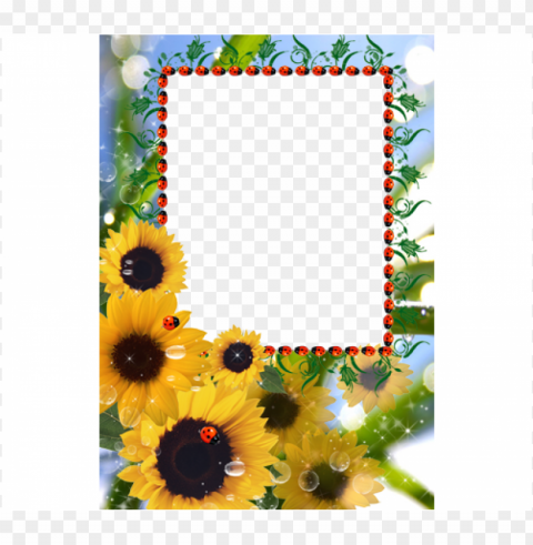 marcos para fotos con girasoles Isolated Character with Clear Background PNG