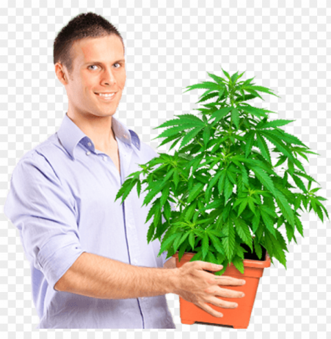 marijuana university graduate holding medium size plant - guy holding weed plant Free PNG images with alpha transparency