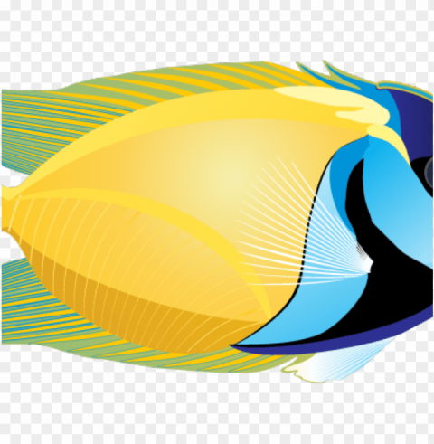 marine fish clipart real fish - fish on white Isolated Character in Transparent Background PNG
