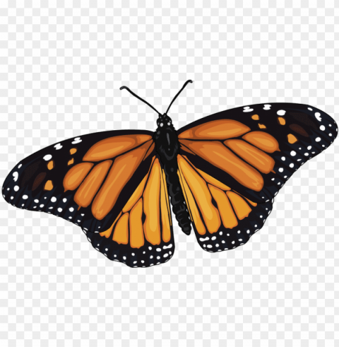 mariposa-monarca - monarch butterfly PNG transparent photos extensive collection