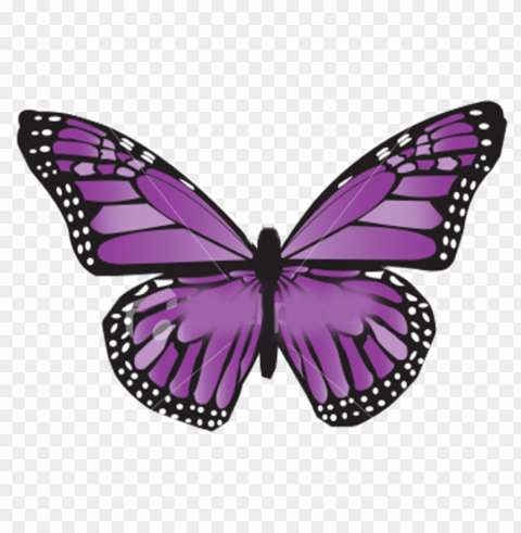 mariposas moradas PNG graphics with clear alpha channel selection