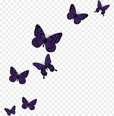 mariposas volando PNG isolated