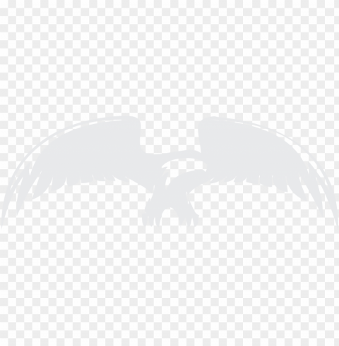 Mark - - Hawk PNG Graphic With Isolated Clarity