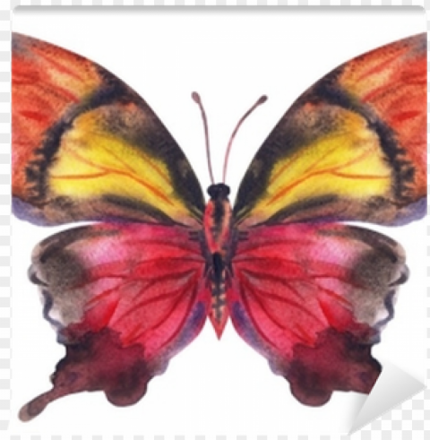 maroon-yellow butterfly watercolor painting - watercolor painti Clean Background Isolated PNG Object