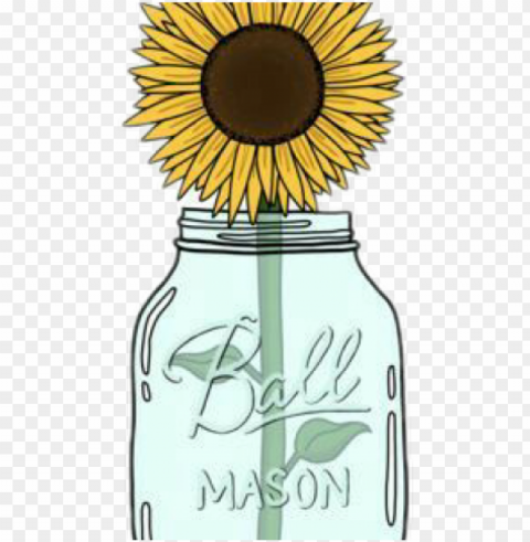 mason jar clipart transparent tumblr - sunflower sticker Clear Background PNG Isolated Element Detail