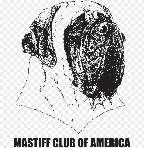 mastiff club of america - mastiff club of america mcoa mastiff club of america PNG transparent artwork