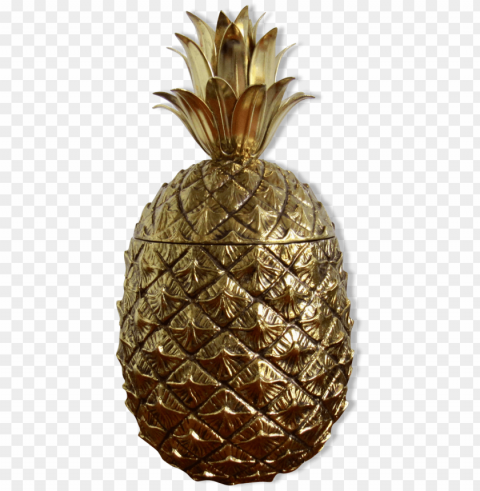 mauro manetti ice golden pineapple bucket - bucket HighQuality Transparent PNG Isolated Art PNG transparent with Clear Background ID 73670f3e