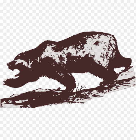 mb image - grizzly bear clip art Transparent PNG Isolated Element with Clarity