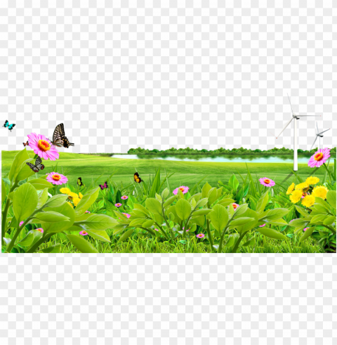 meadow lawn wallpaper lake - nature flower background Transparent PNG photos for projects